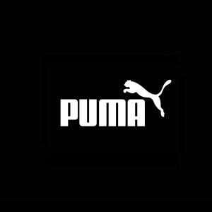 Puma-Icon